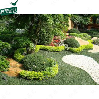 上海植物租赁